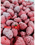 Frambuesa 95/5 Whole - IQF Fruta congelada - FRUIT B2B