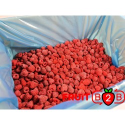 Малина 95/5 Whole - IQF Замороженные фрукты - FRUIT B2B