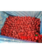 Raspberries 95/5 Whole - IQF Frozen Fruit - FRUIT B2B