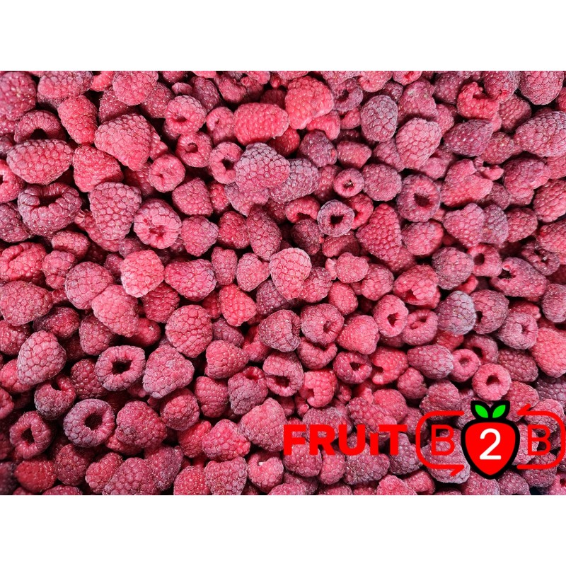 Himbeeren 95/5 Ganz - IQF Gefrorene Früchte - FRUIT B2B