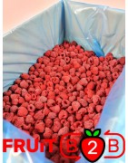 Framboesa 95/5 Whole - IQF Fruta congelada - FRUIT B2B