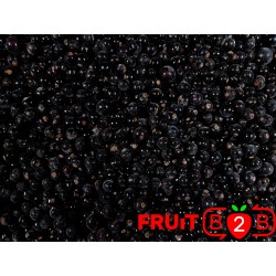 Czarna porzeczka class 1- IQF Mrożone owoce|Mrożonki - FRUIT B2B