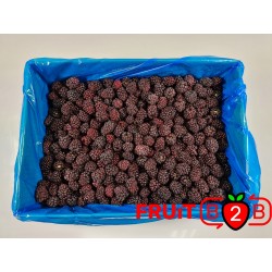 黑莓 class 1- IQF 冷凍水果 - FRUIT B2B