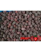 Brombeere class 1- IQF Gefrorene Früchte - FRUIT B2B