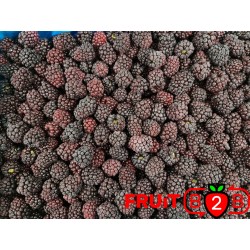 黑莓 class 1- IQF 冷凍水果 - FRUIT B2B