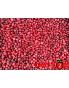 Cranberry - IQF Frozen Fruit - FRUIT B2B
