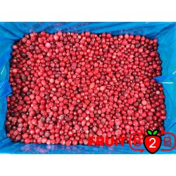 Cranberry - IQF Frozen Fruit - FRUIT B2B