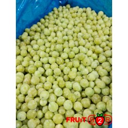 Groseille à maquereau - IQF Fruits surgelés - FRUIT B2B