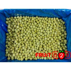 Stachelbeere - IQF Gefrorene Früchte - FRUIT B2B