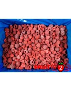 Raspberry 90/10 Whole - IQF Frozen Fruit - FRUIT B2B