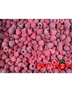 Frambuesa 80/20 Whole - IQF Fruta congelada - FRUIT B2B