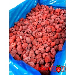 Malina 70/30 Whole - IQF Mrożone owoce|Mrożonki - FRUIT B2B