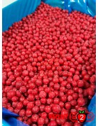 Красная смородина class 1 - IQF Замороженные фрукты - FRUIT B2B