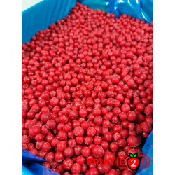 Red Currant class 1 - IQF Frozen Fruit - FRUIT B2B