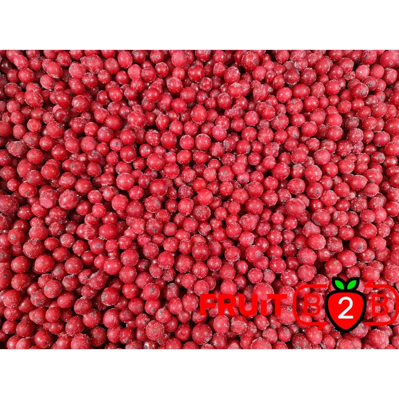 Rote Johannisbeere class 1 - IQF Gefrorene Früchte - FRUIT B2B