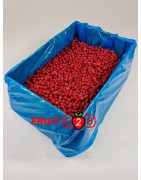 Czerwona Porzeczka class 2 - IQF Mrożone owoce|Mrożonki - FRUIT B2B