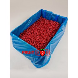Czerwona Porzeczka class 2 - IQF Mrożone owoce|Mrożonki - FRUIT B2B