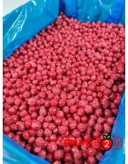 Rote Johannisbeere class 2 - IQF Gefrorene Früchte - FRUIT B2B