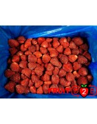 fraise class 2 calibrated  - IQF Fruits surgelés - FRUIT B2B