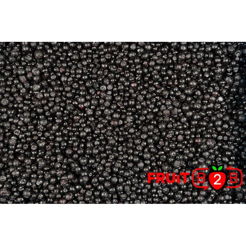 Wild Blueberry class 1 - IQF Frozen Fruit - FRUIT B2B