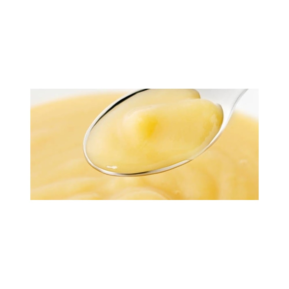 Sadni pire Dobavitelj Proizvajalec Sestavina za Natural FRUIT B2B