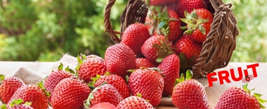 Strawberries season started in Poland