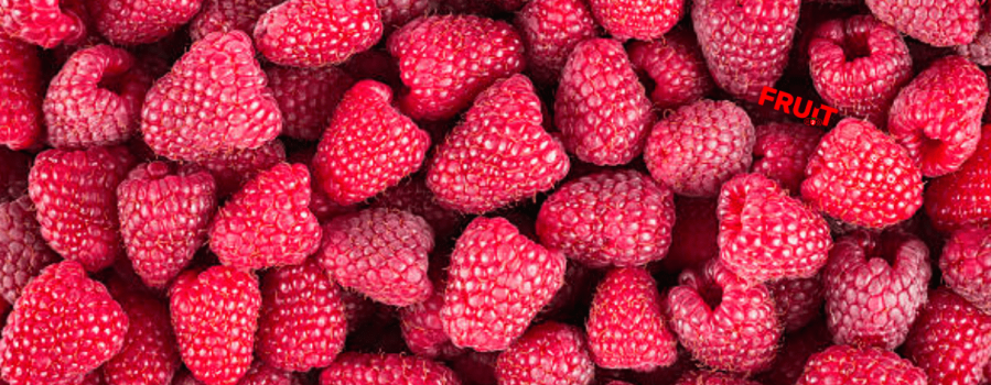 Raspberries season started in Poland	