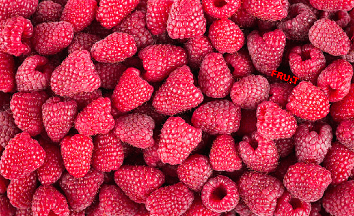 Raspberries season started in Poland	